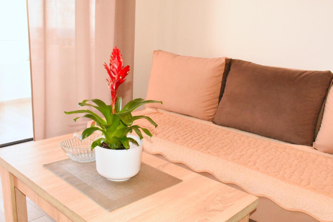 Studio Apartments Jupo Улцин Екстериор снимка
